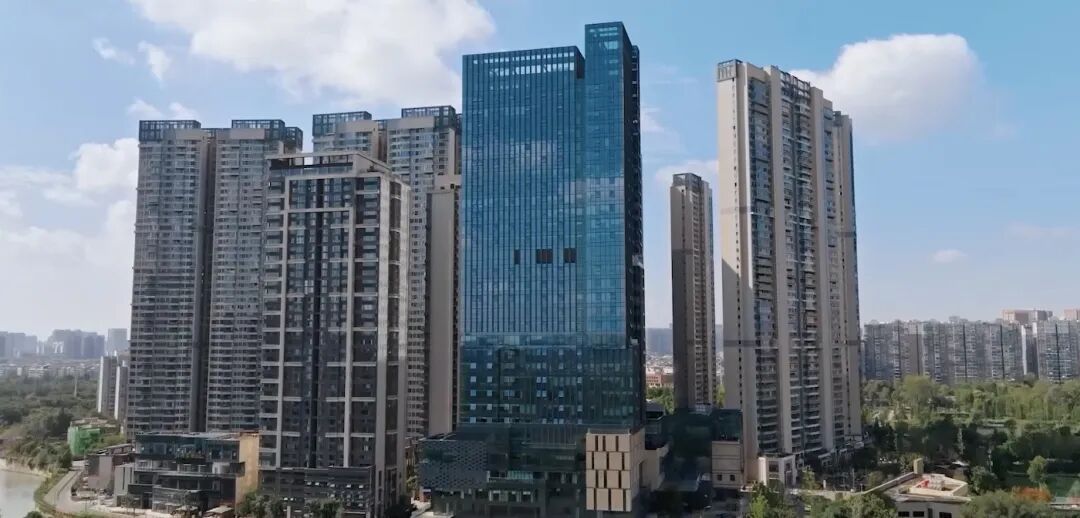 东部集团产业部领导一行莅临树莓控股考察交流