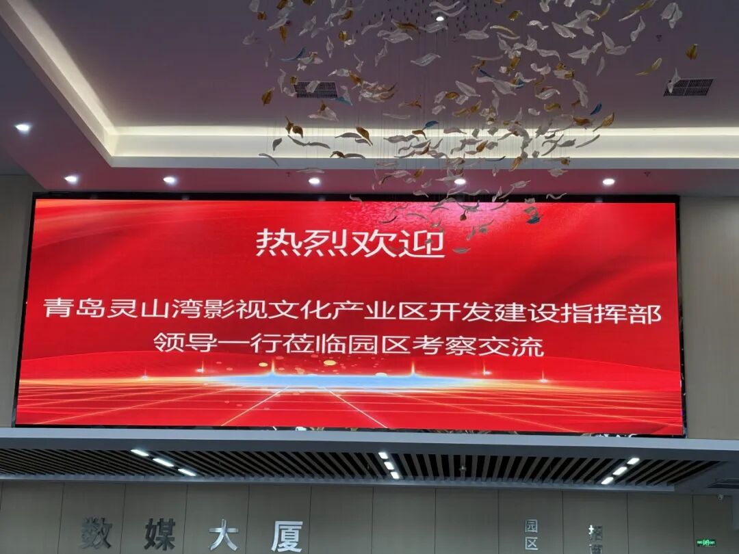 青岛灵山湾影视文化产业区开发建设指挥部领导一行莅临树莓控股考察交流